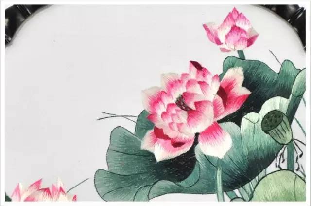 荷花圖案 荷花圖案