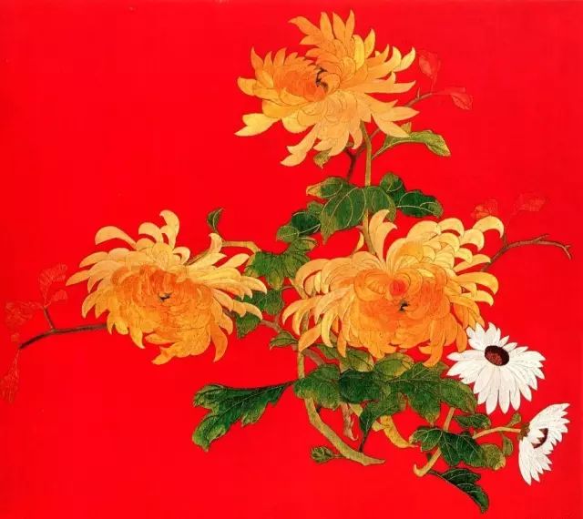 5、菊花圖案 5、菊花圖案