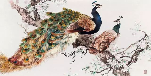 孔雀圖案 孔雀圖案