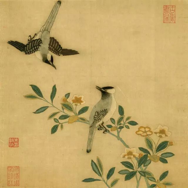 雙鳥(niǎo)圖案 雙鳥(niǎo)圖案