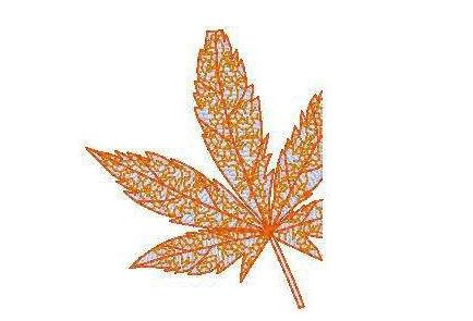 電腦繡花針數計算及數據轉換法 電腦繡花針數計算及數據轉換法