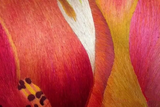 1529578687307505.jpg 4.webp.jpg