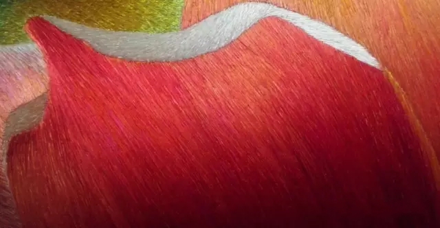 1529578691853406.jpg 5.webp.jpg