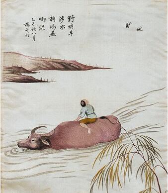 1530095944573656.jpg 1.jpg