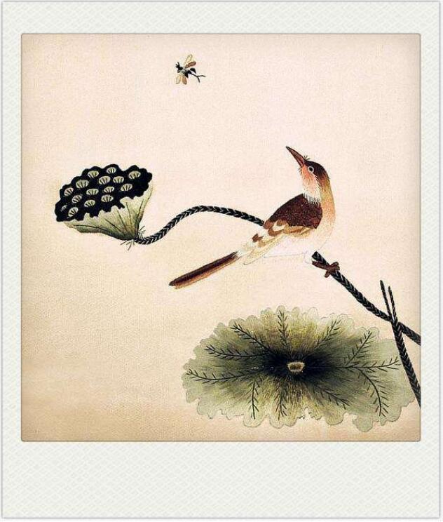 1585469201260254.jpg 1.jpg